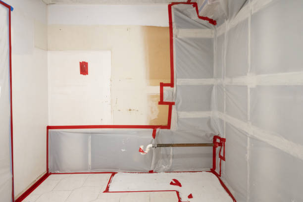 Best Air Quality Testing for Mold Spores  in Slater Marietta, SC