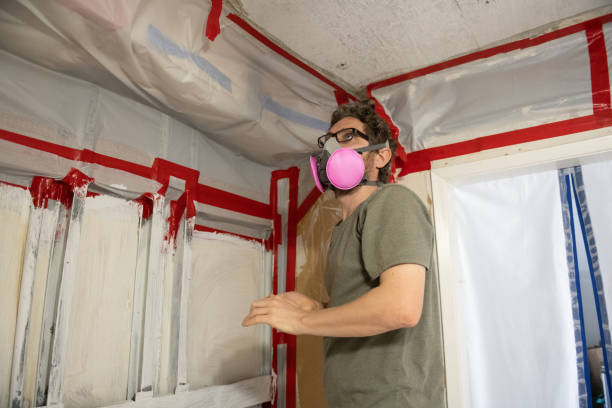 Best Post-Construction Mold Inspection  in Slater Marietta, SC