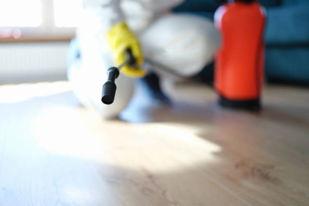 Best Asbestos and Lead Testing During Mold Inspection  in Slater Marietta, SC
