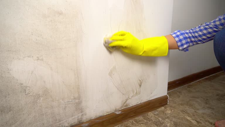 Best Mold Remediation for Healthcare Facilities  in Slater Marietta, SC