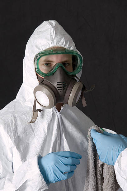 Best Mold Removal for HVAC Installations  in Slater Marietta, SC